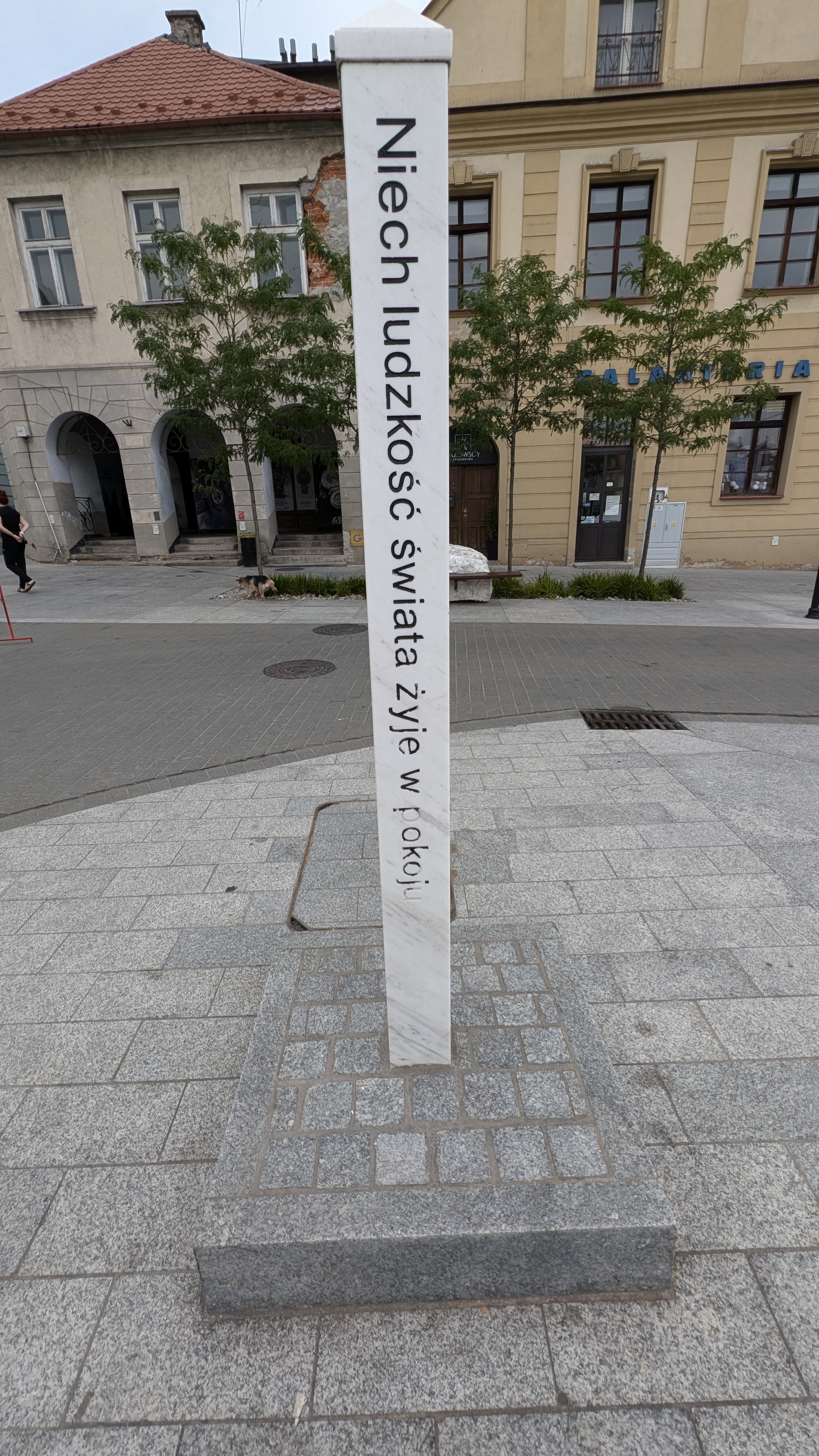 Roselle Delegation visits Bochnia - 2024